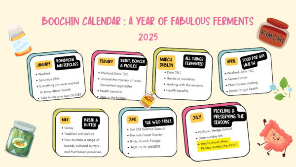 calendar of workshops and events 2025