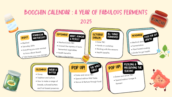 calendar of workshops and events 2025 - Image 2
