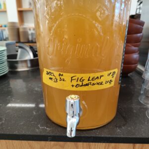 Online Kombucha and Wild Soda              Monday May 19th