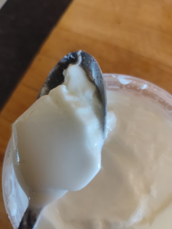 Milk Kefir Grains - Image 2
