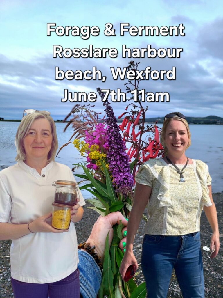 Forage and Ferment- Rosslare Harbour Wexford- 7th June 2026